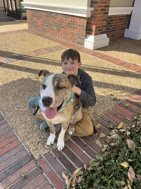FAUNA supporter with a dog