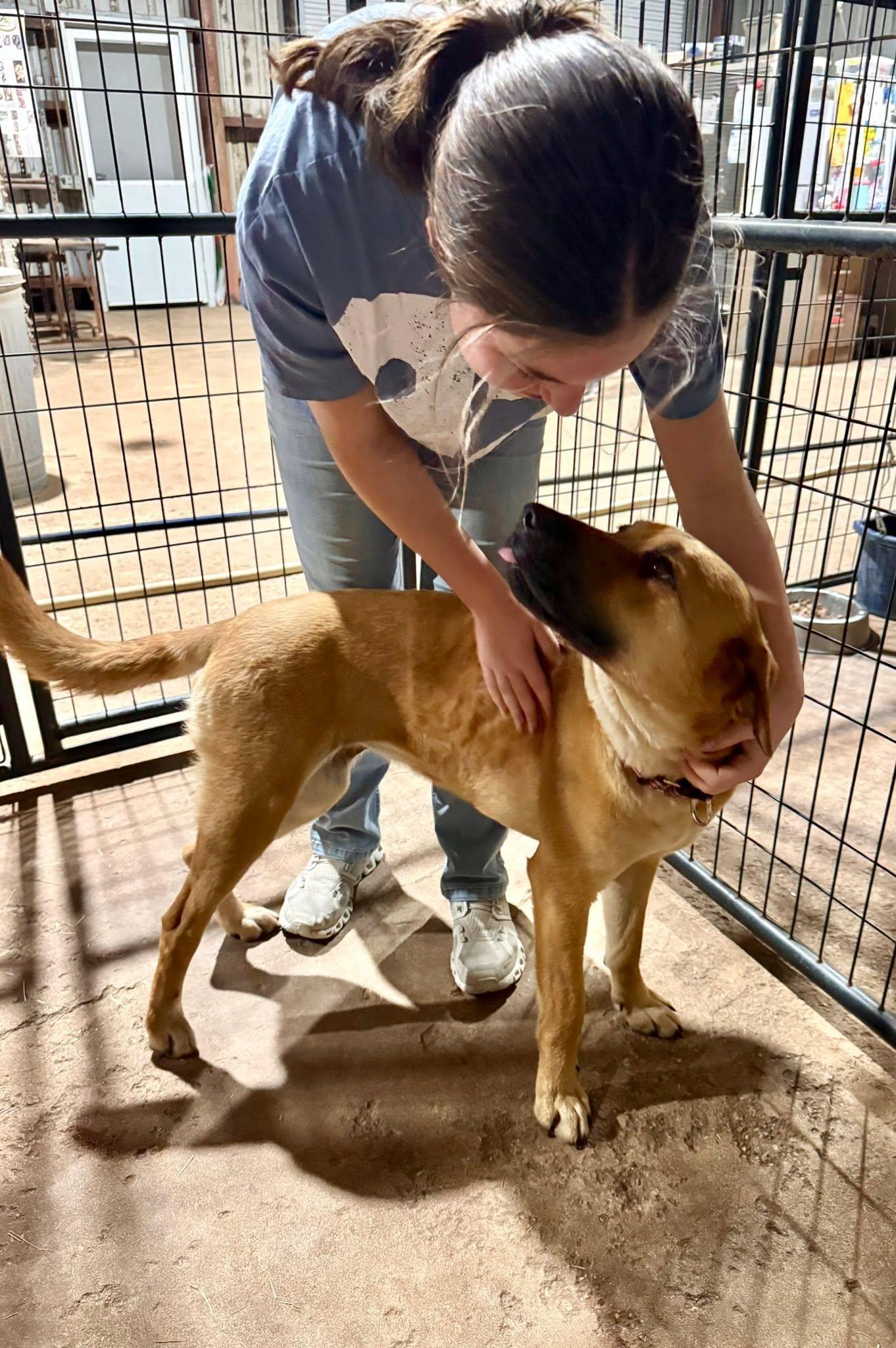 FAUNA team member helping an animal