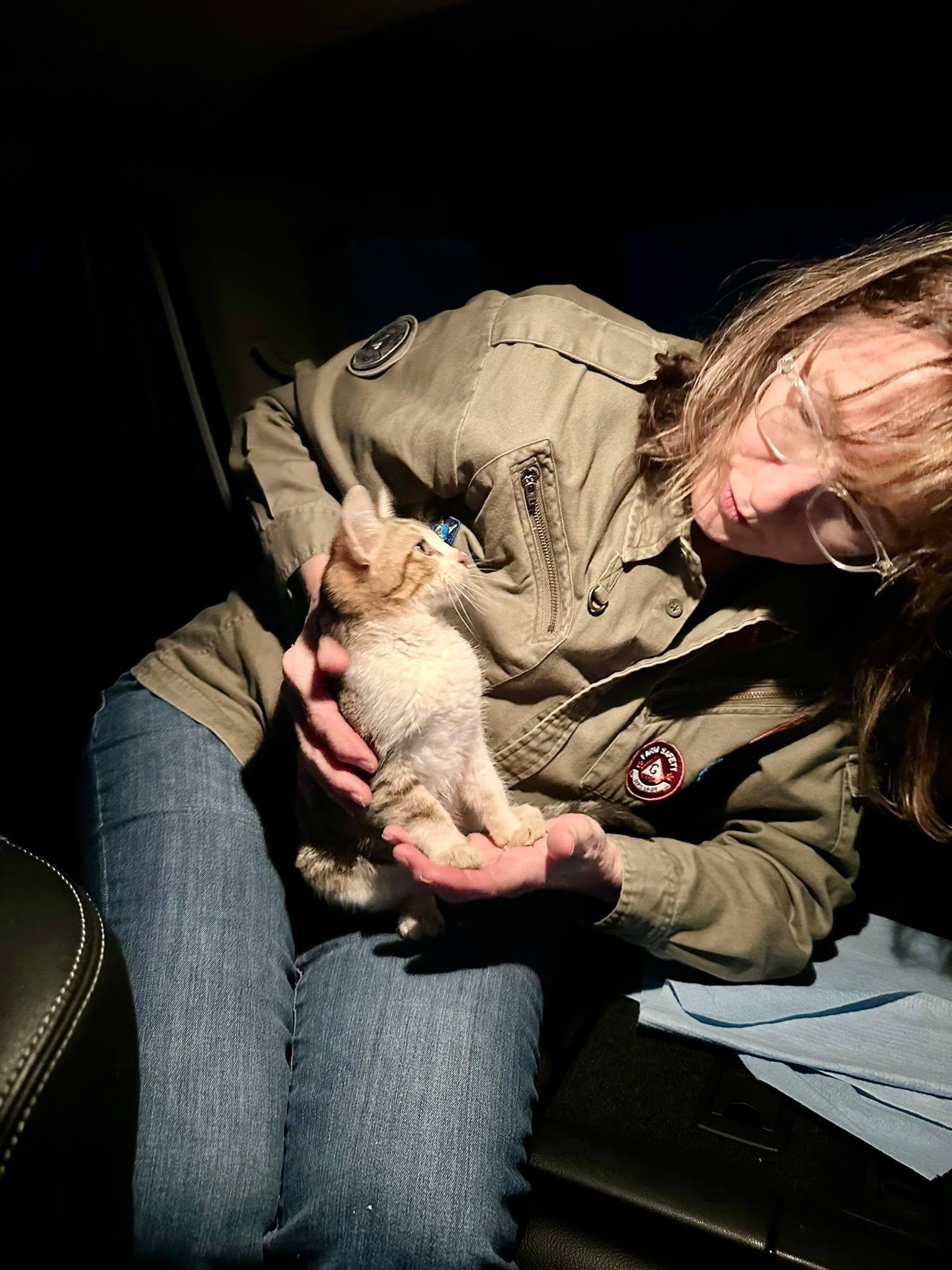 FAUNA staff and volunteer animal care