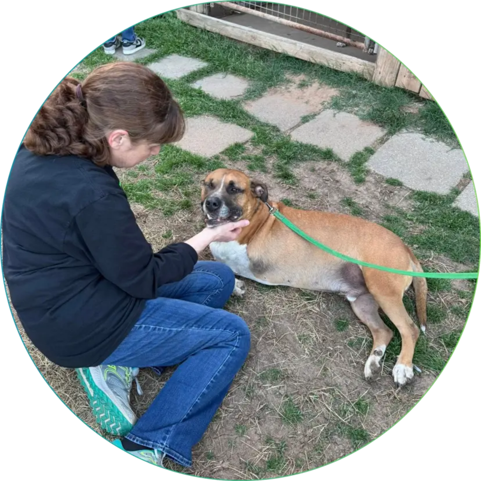 FAUNA volunteer with a dog