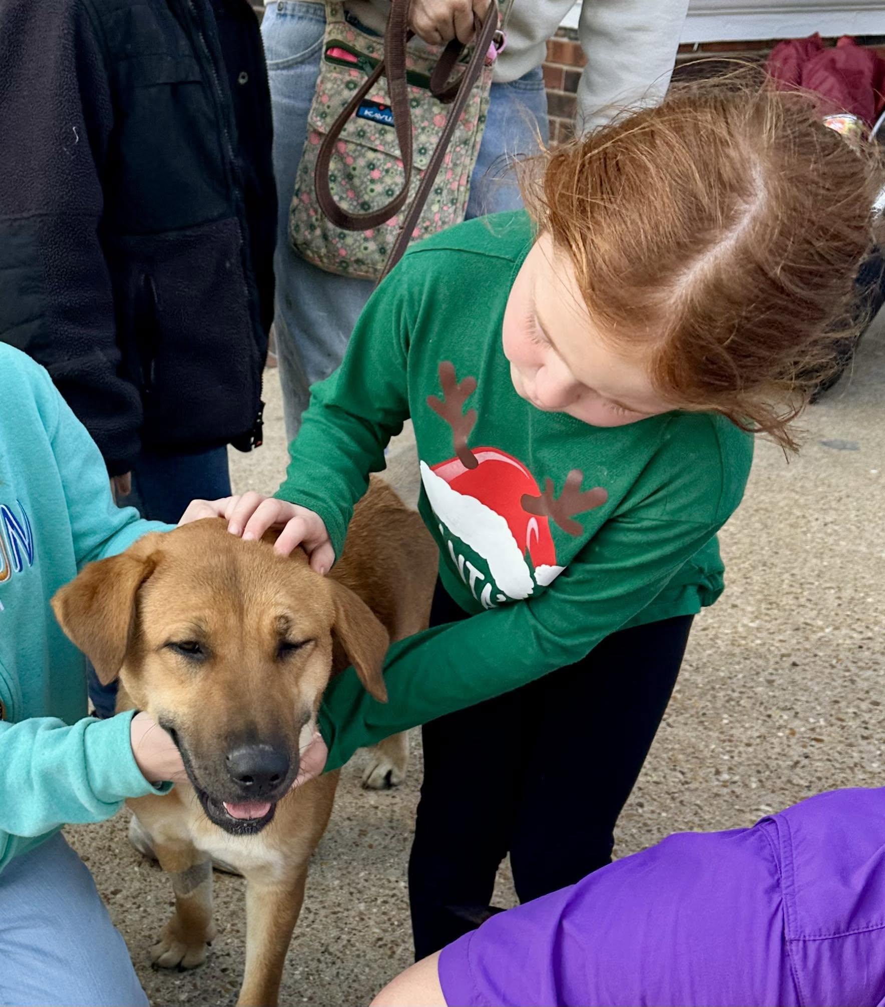 An animal receiving care through FAUNA