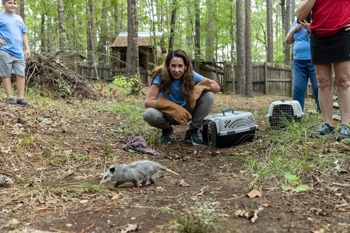 Wildlife cared for by KLAWS