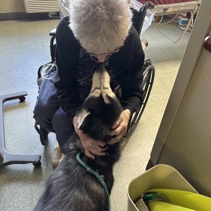PACT Therapy visit