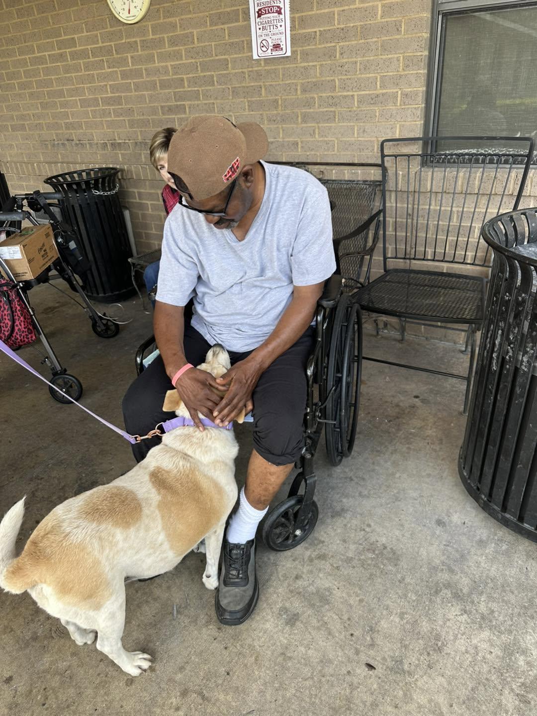 PACT Therapy volunteer and therapy animal