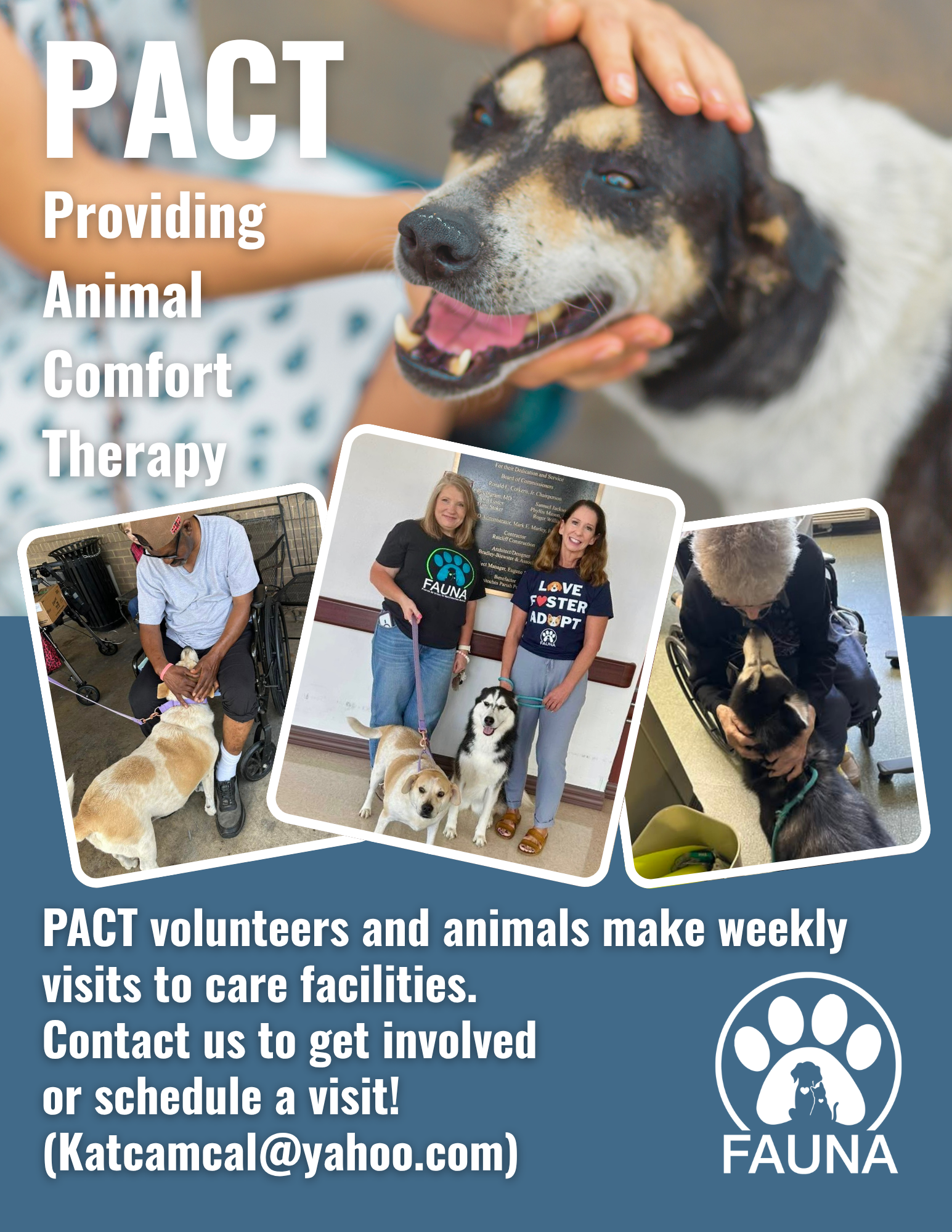 PACT Therapy