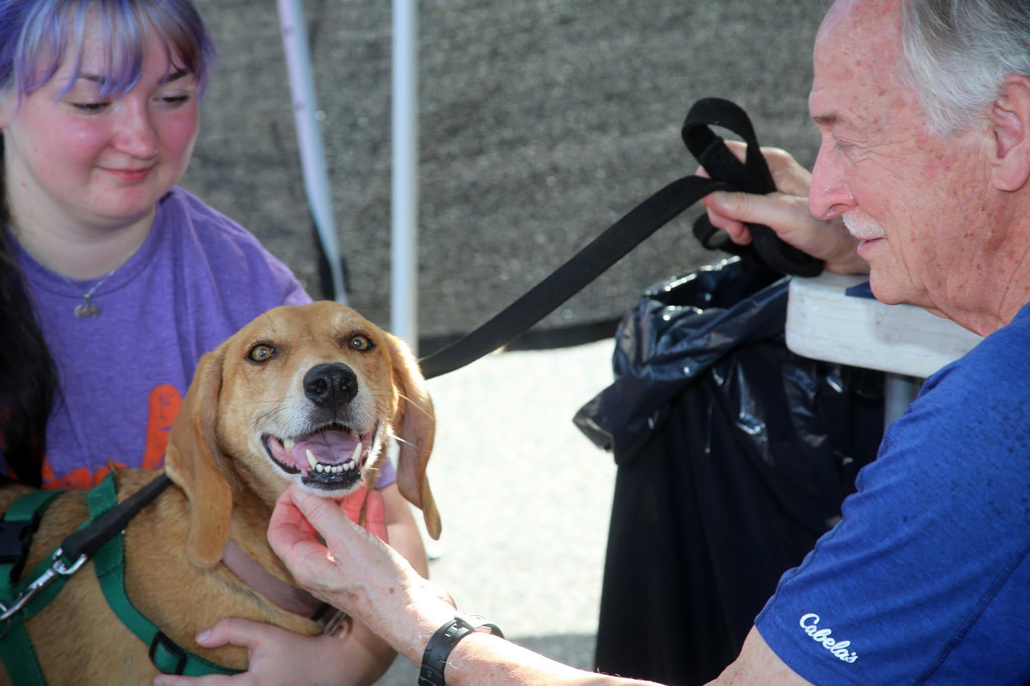 FAUNA volunteer helping animals