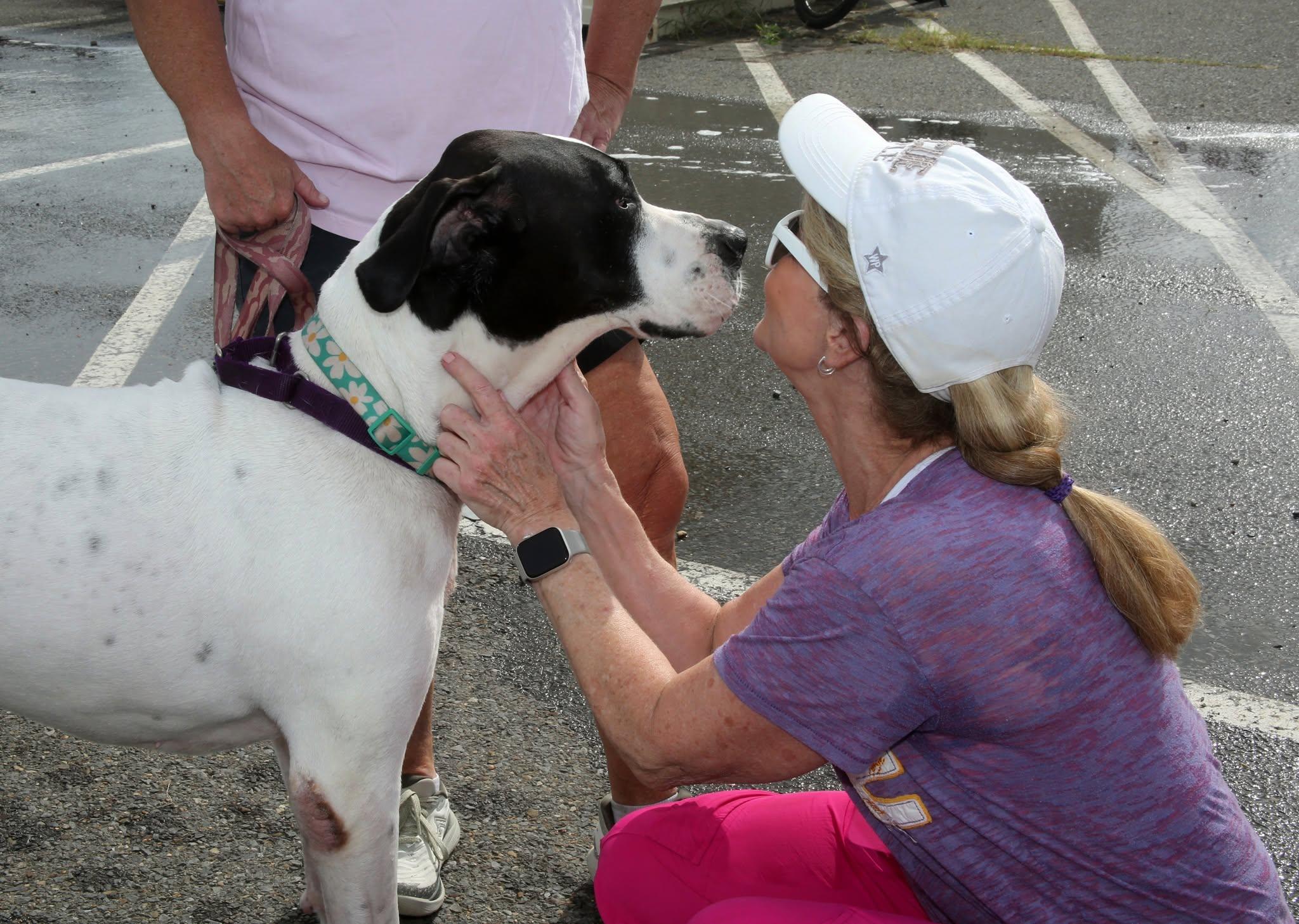 FAUNA volunteer supporting the rescue mission