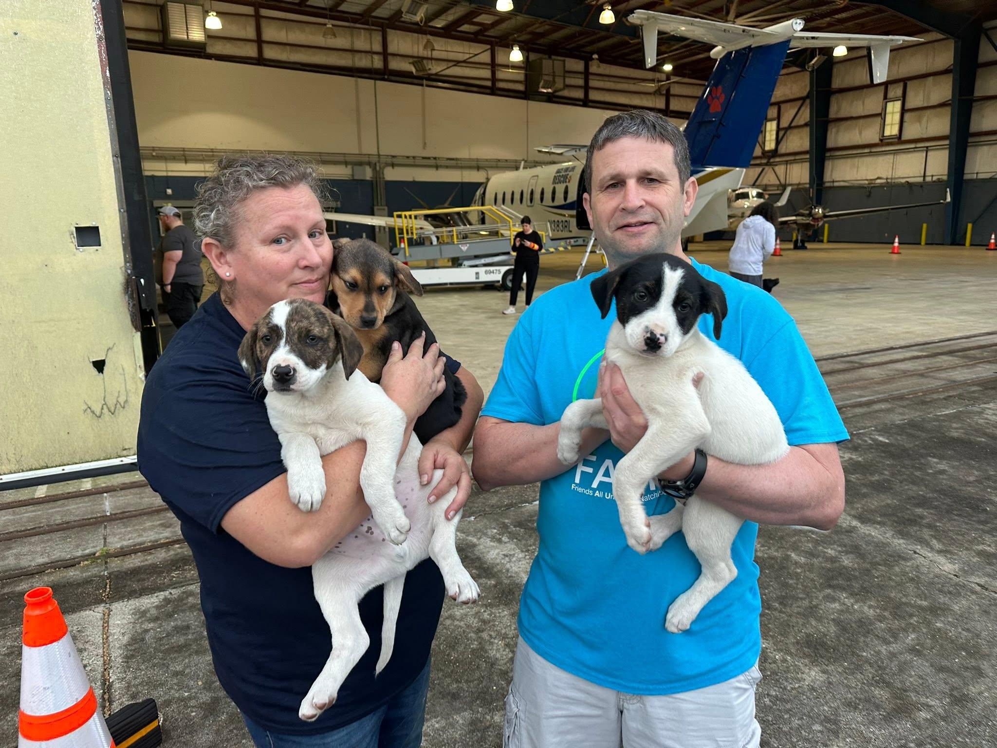 FAUNA volunteers and animals