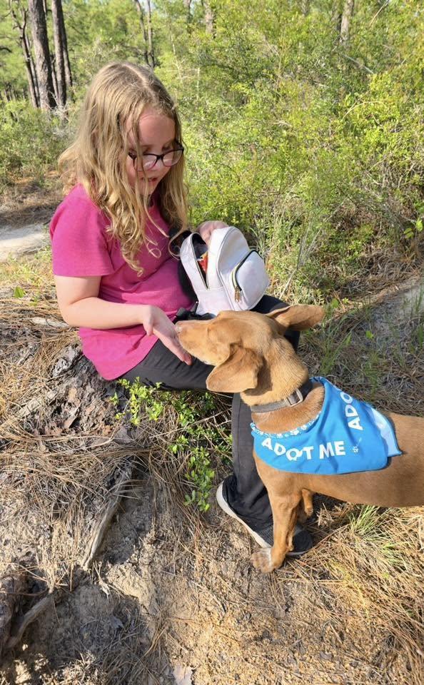 FAUNA rescue animal ready for a home