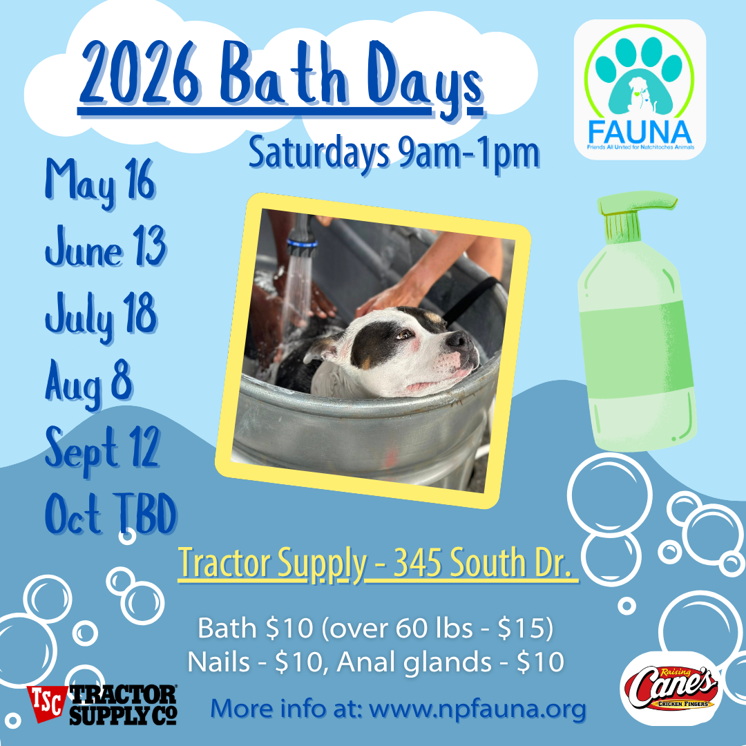 FAUNA Bath Day event