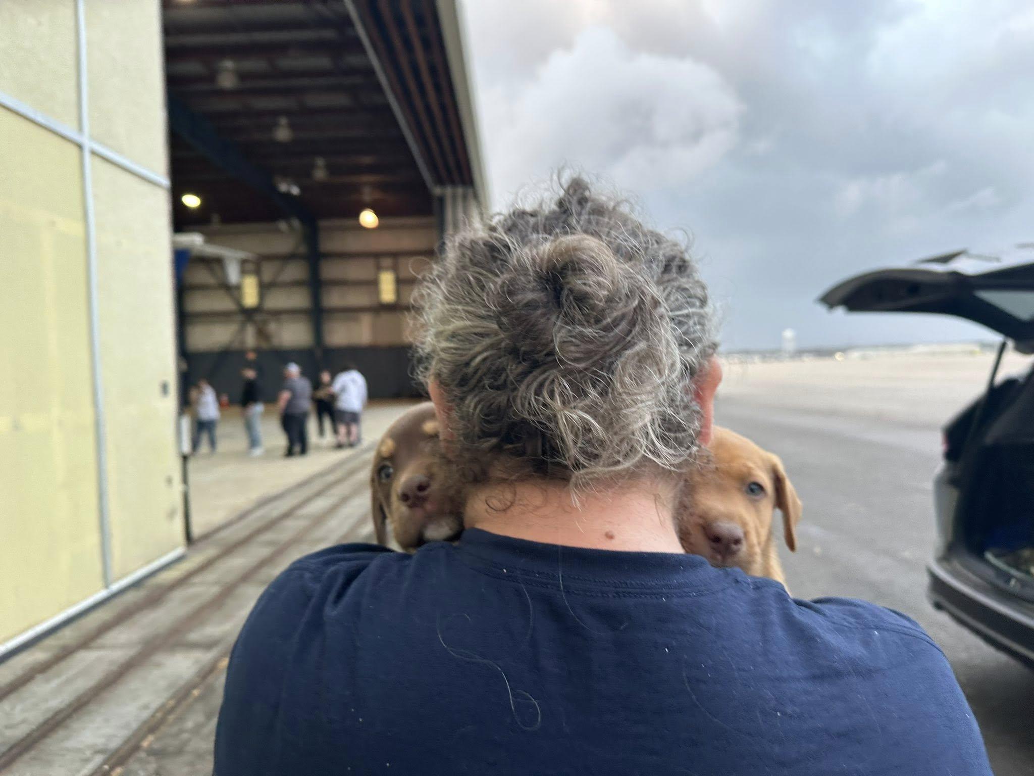 FAUNA grassroots rescue and lifesaving work