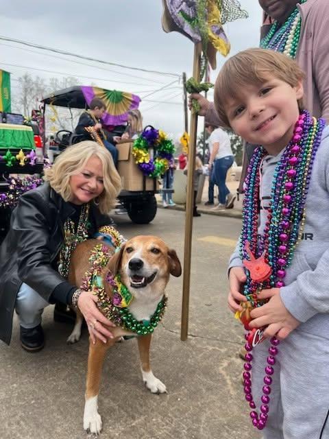 FAUNA pet parade event